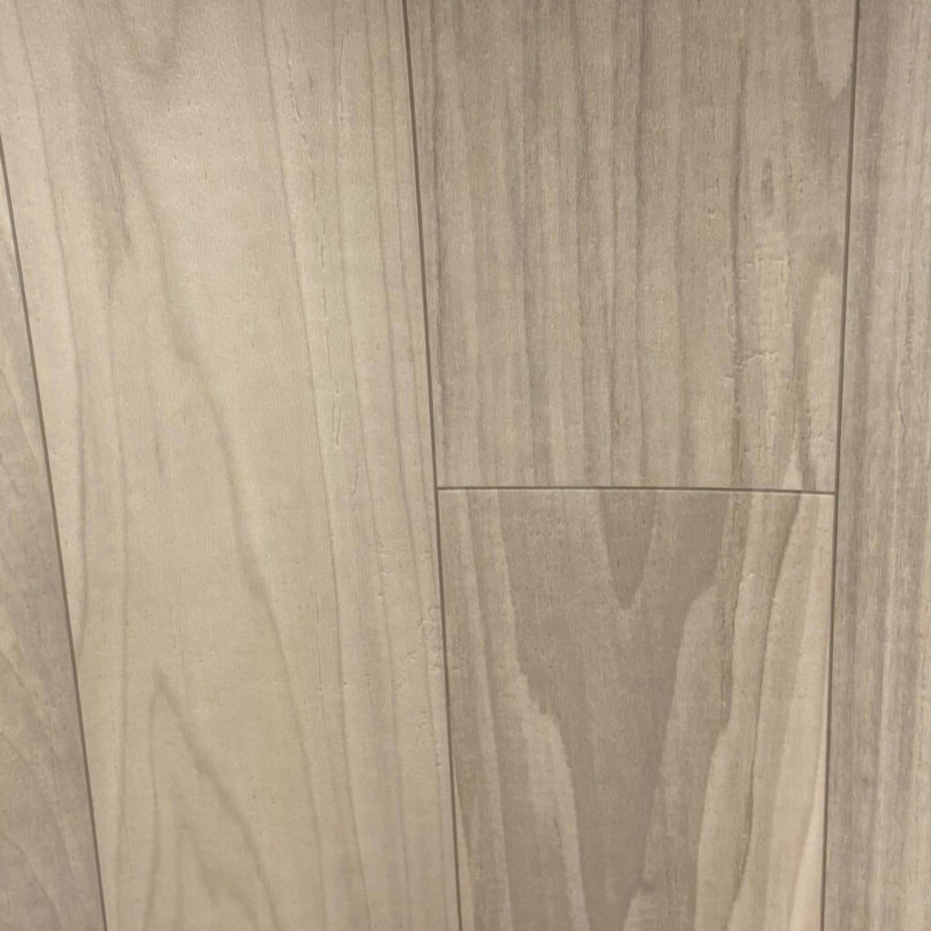 Linoleum: Beachside Sundance Image