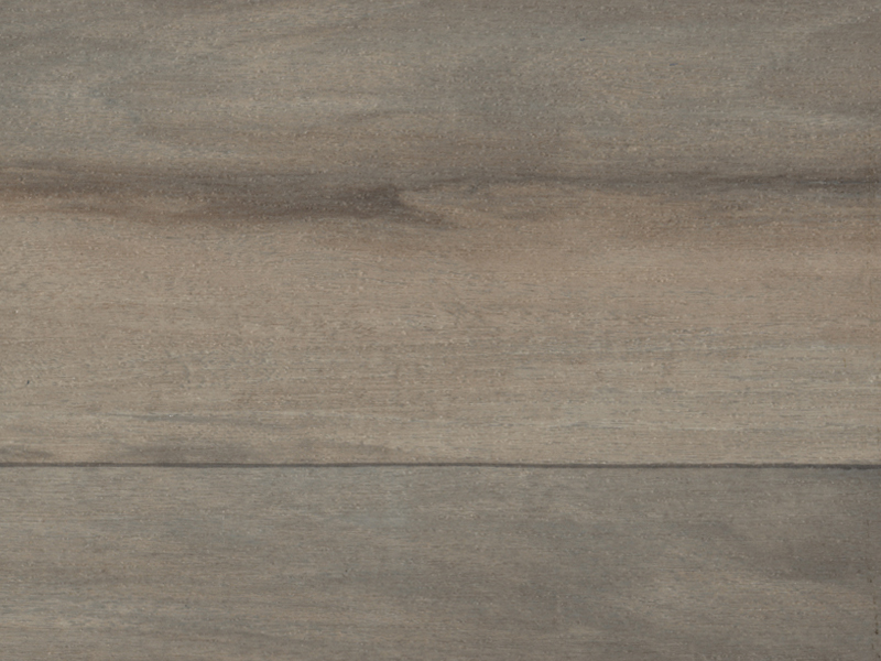 Linoleum: Beachside Sundance Image